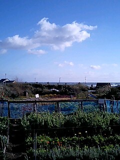 070107_1441〜0002.jpg