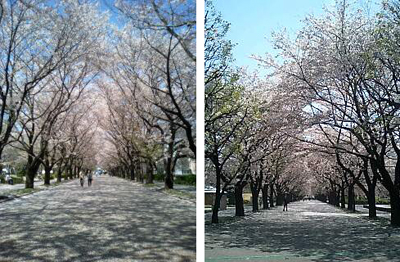 090409-01.jpg