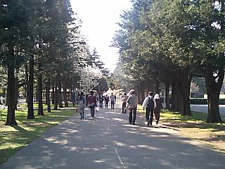 090409-02.jpg