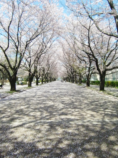 090409-04.jpg